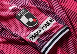 球天下官网-大阪樱花球队